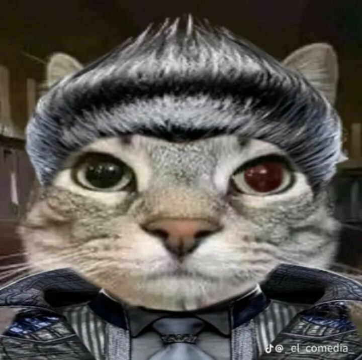 Ch1d0r1