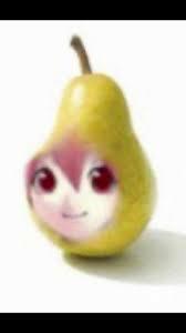 Rokai