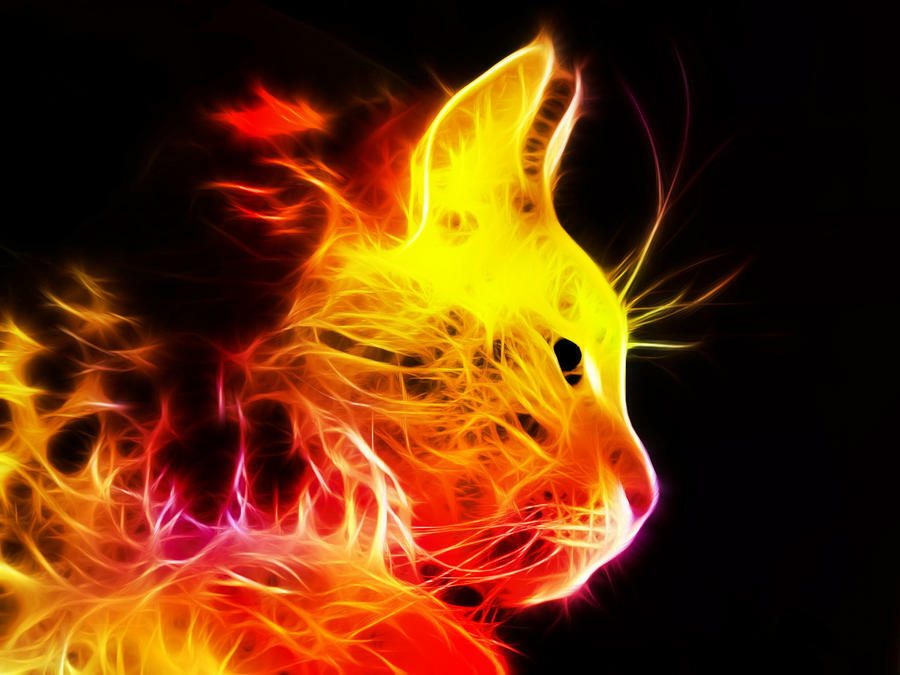 FireCaT***
