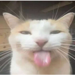 Lwhinoot