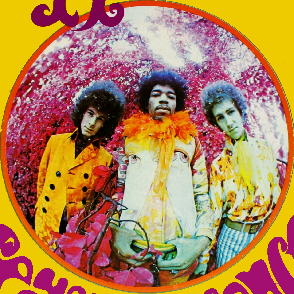 Purple Haze