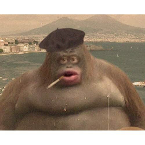 MrFlygare