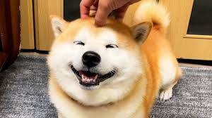 ozzyenemy