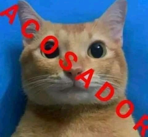DiegoMaquinito