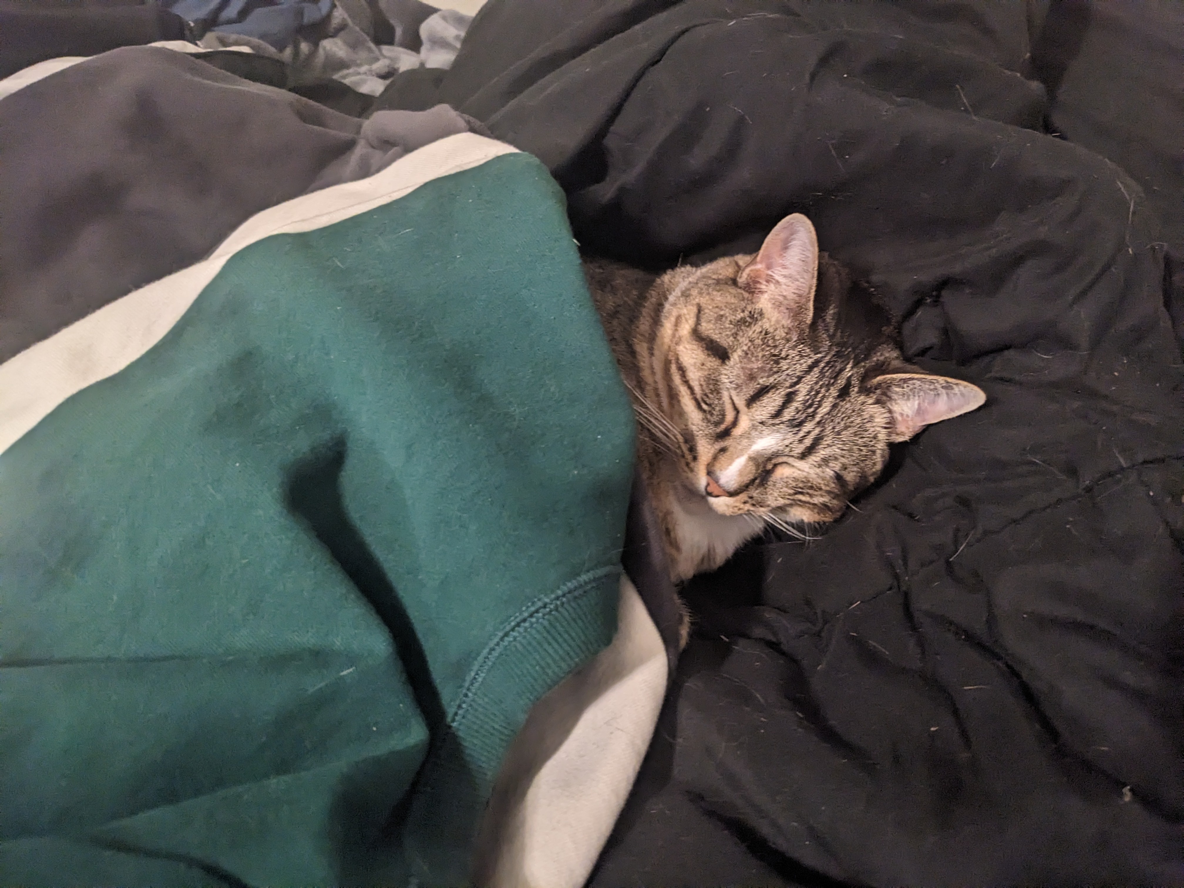 ADA