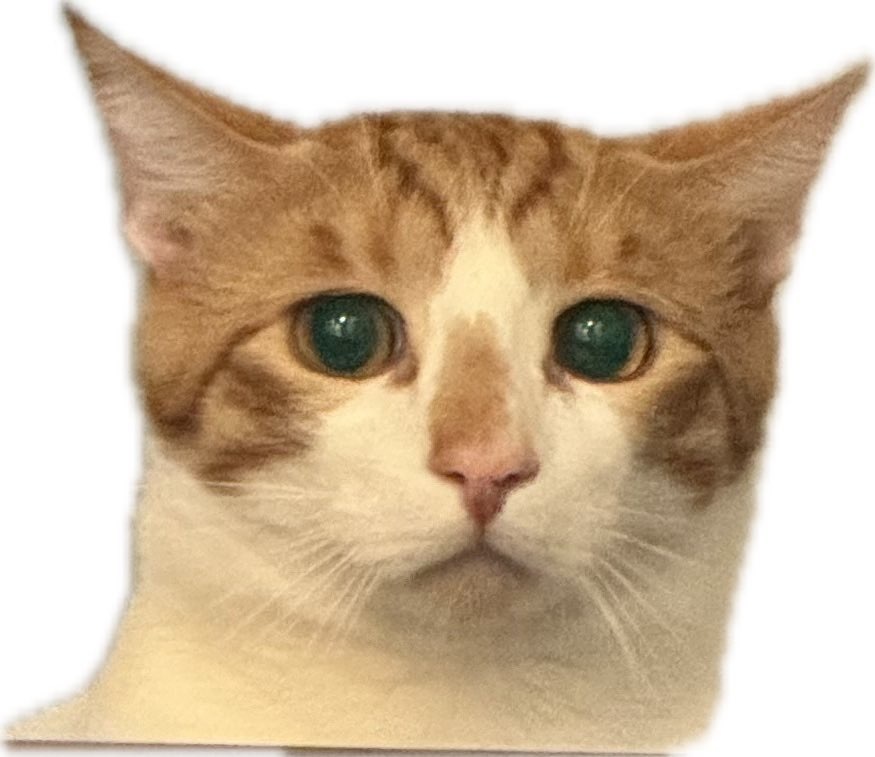 ktb