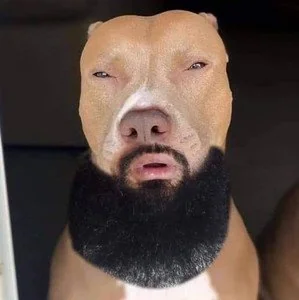 HanzoToe