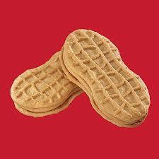 Nutterinos