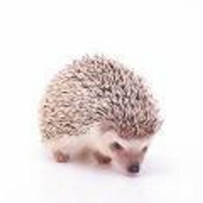 microm