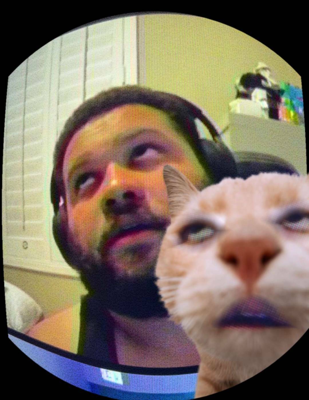 Degen_Bear