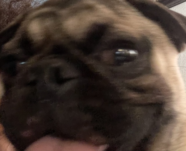 Beebobop?