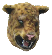 SRG