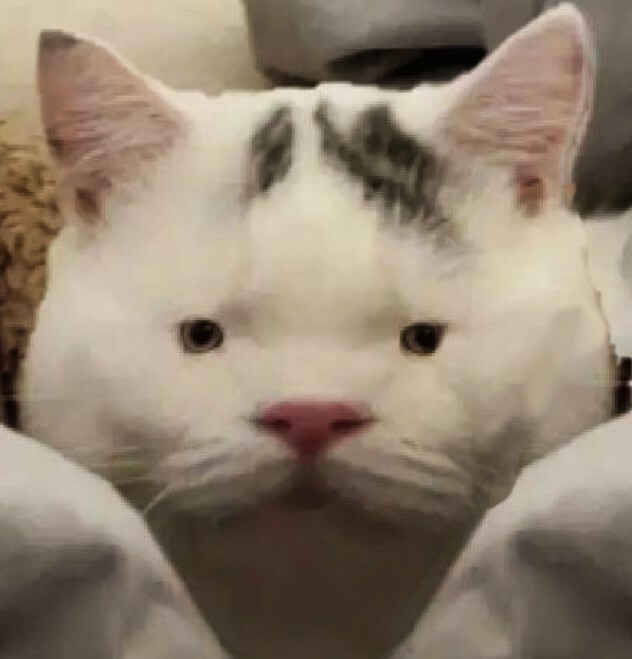 Cooper6334