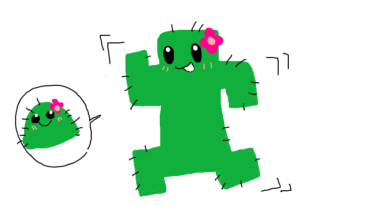 カクタス3/cactus3sun