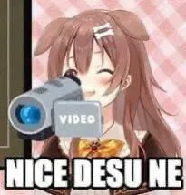 pockey