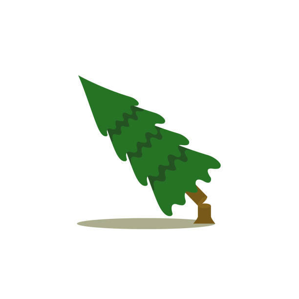 fallen_pino