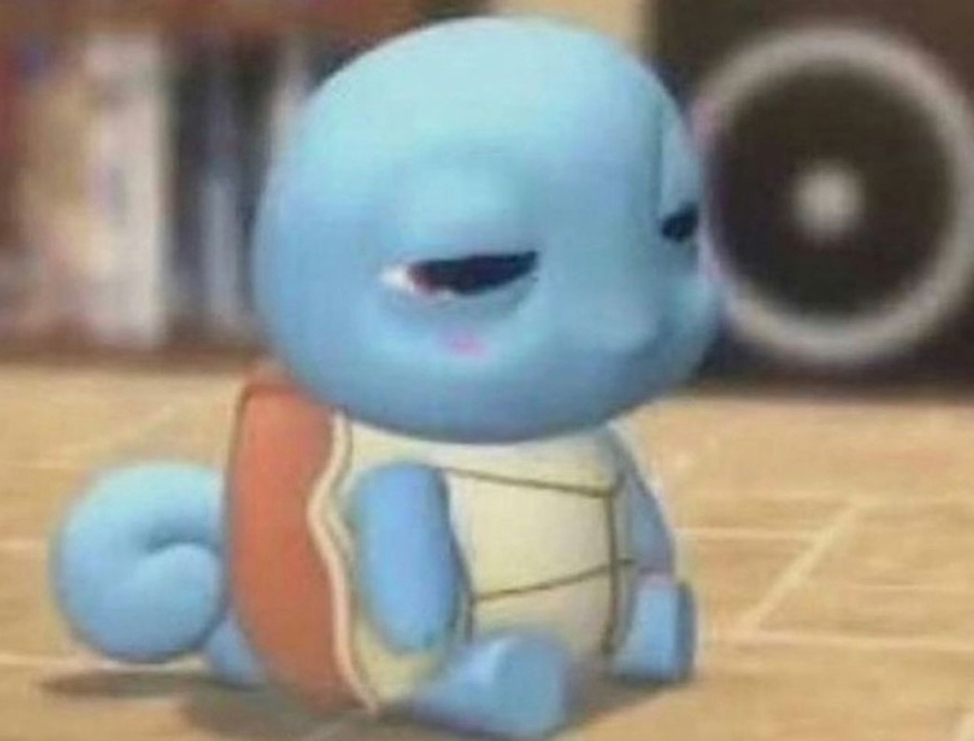 pooga
