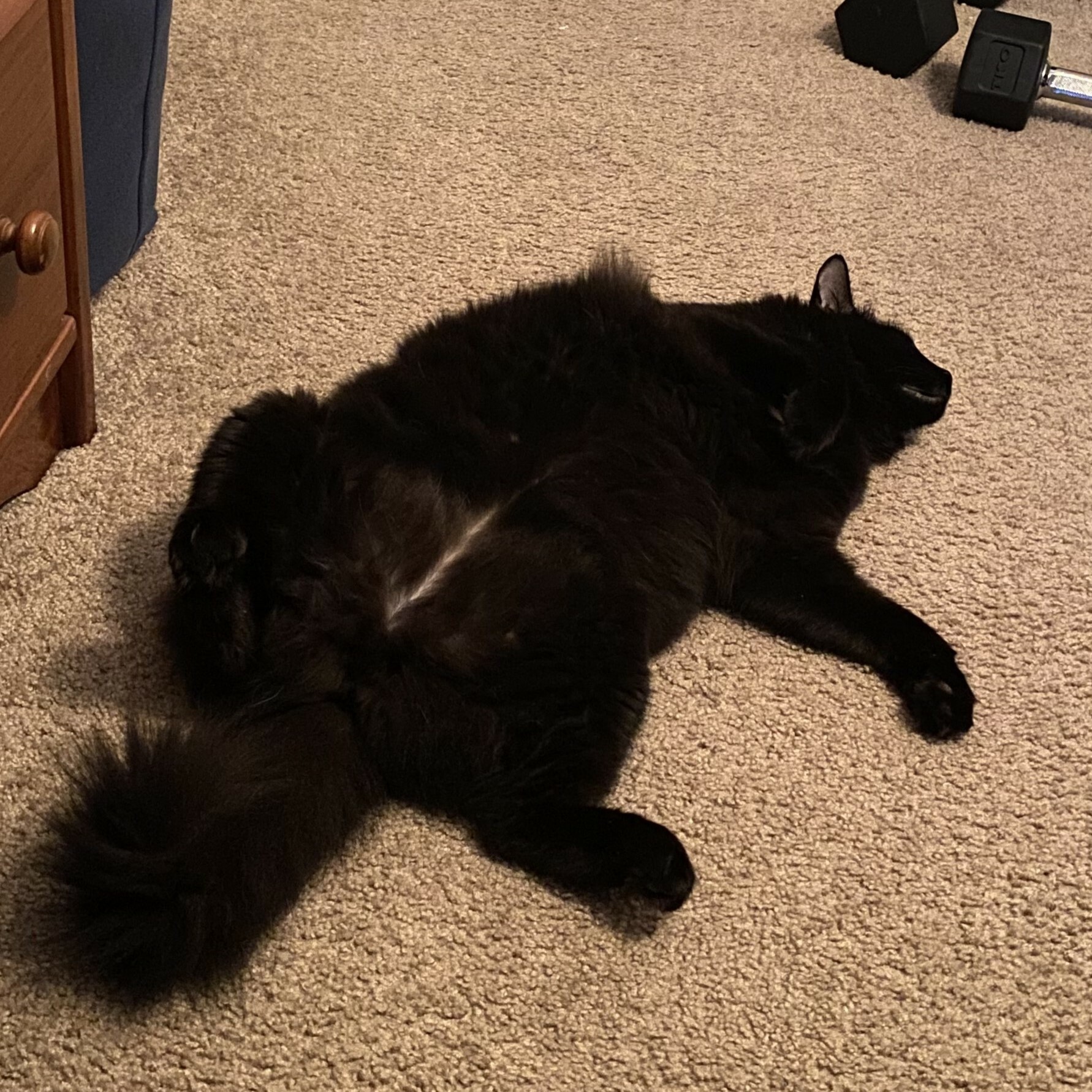 LilYogurt