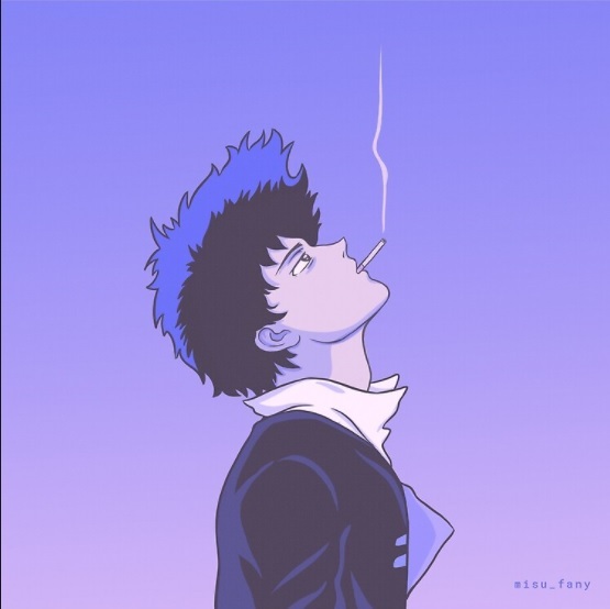 Straycowboy