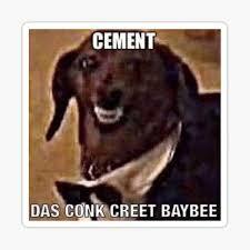 dog cement