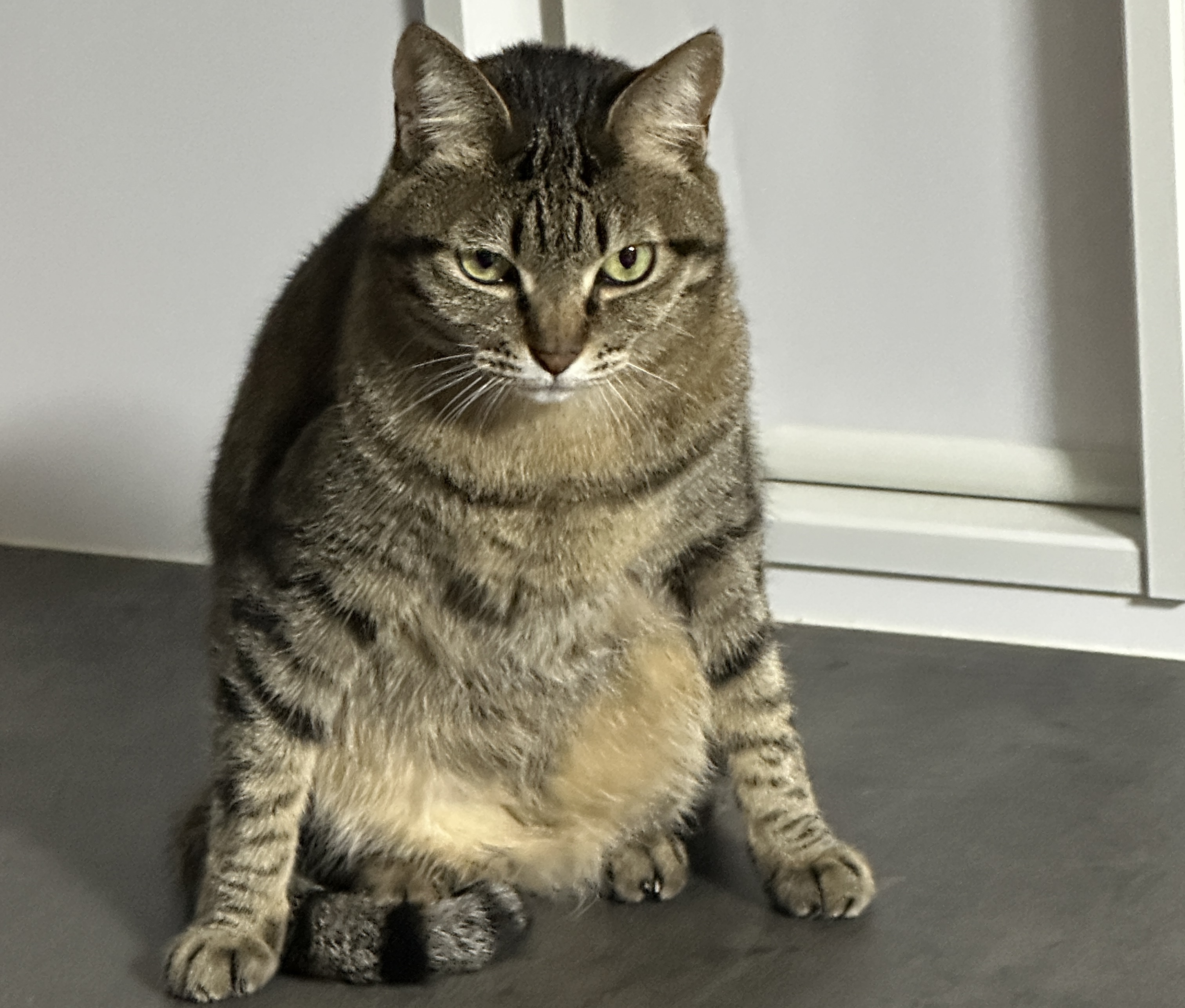 Kinta L