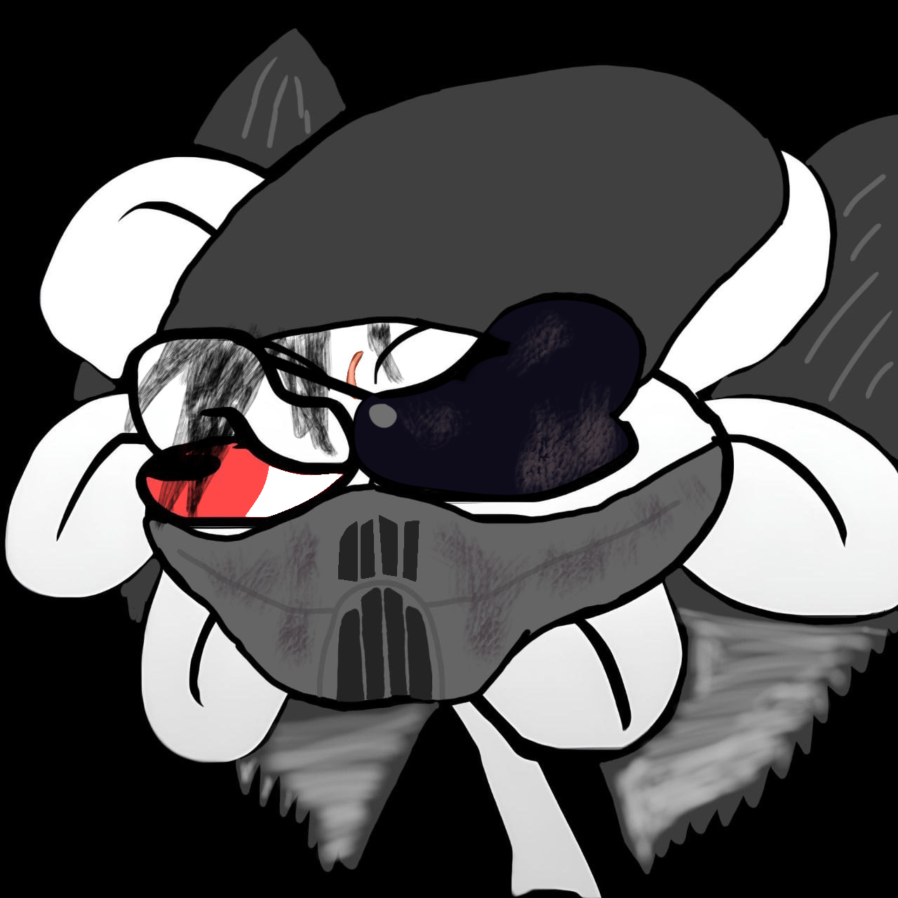 Radle TIA