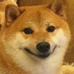 ev1l_doge