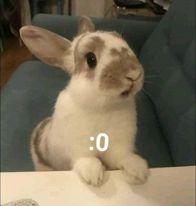 twirre