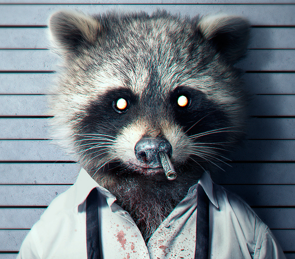 CrystMethRacoon