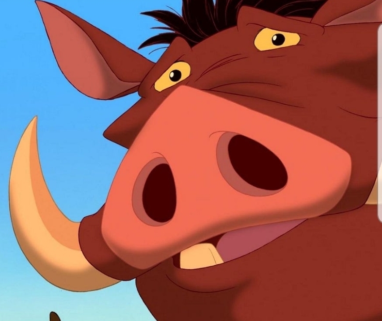 Mr Pig