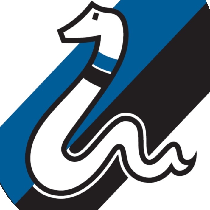 codino_04