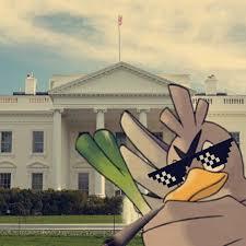 Mister Farfetch'd