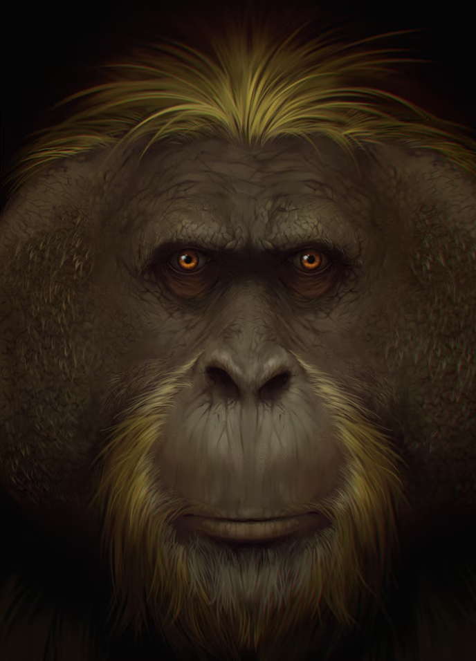 OrangWukong