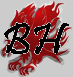 Blood Hawk