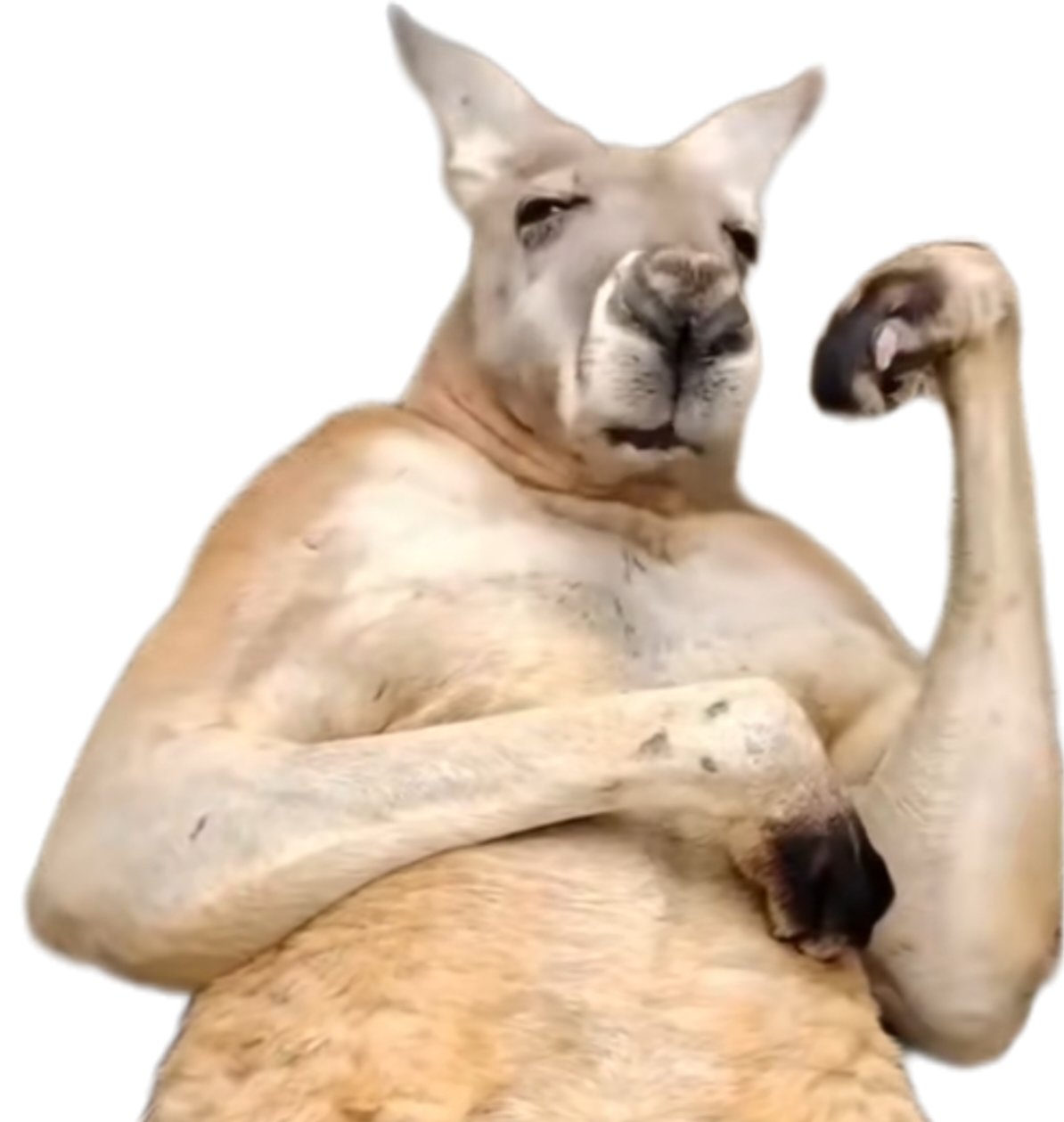 Das Mango