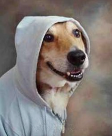 TzMFk