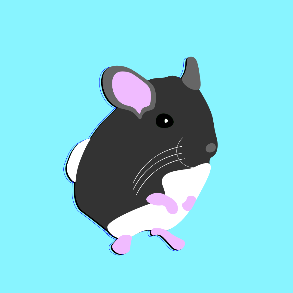 NeroChinchilla