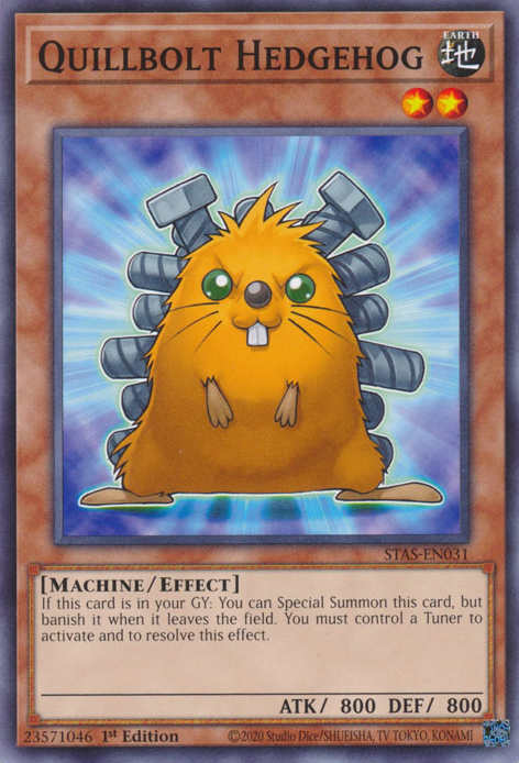 SeshGoomba