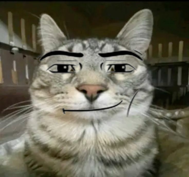 DarkLynxi