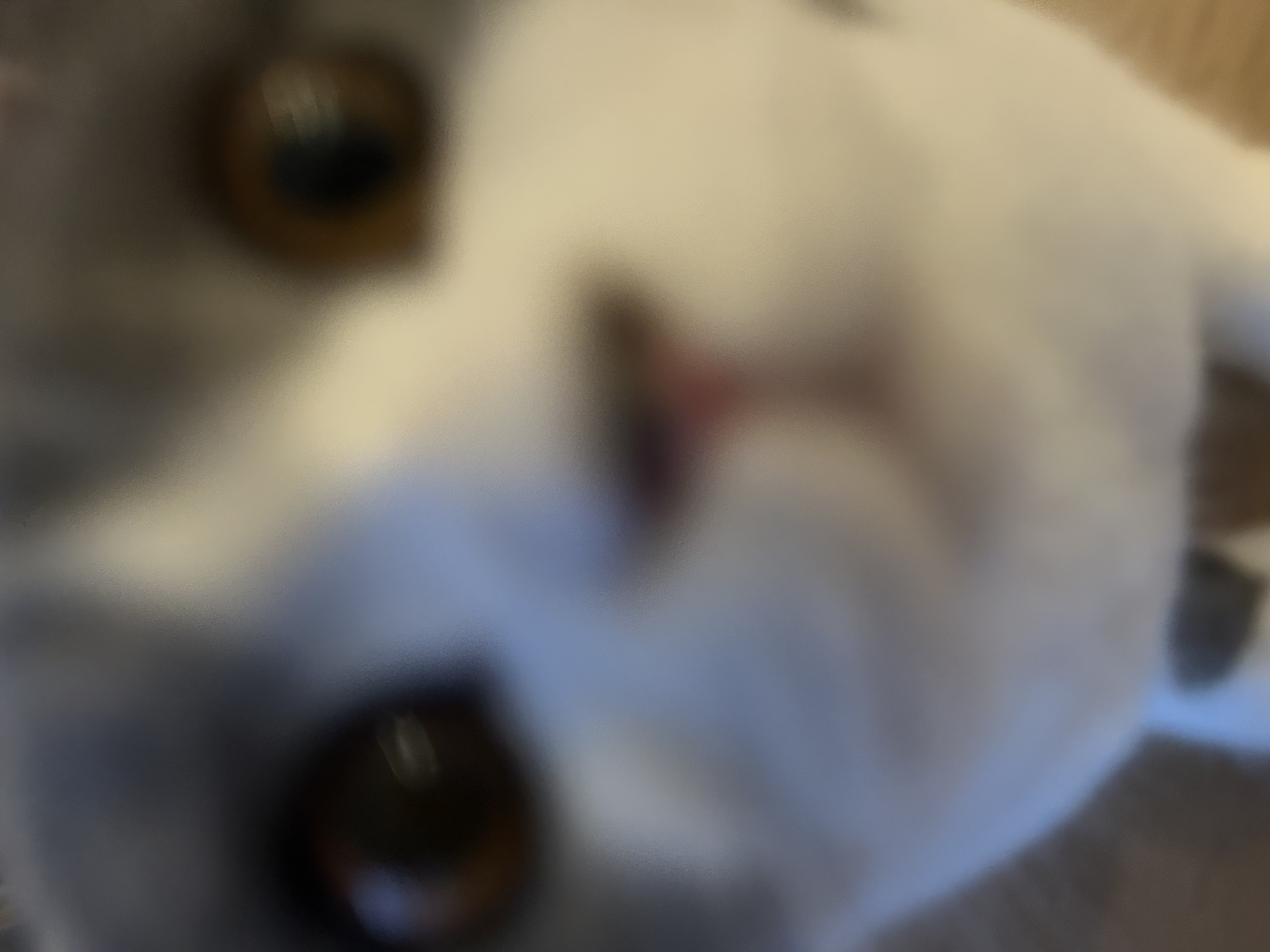 CLing