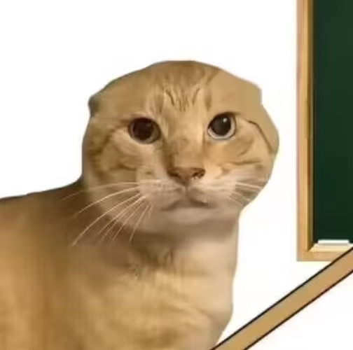 noot