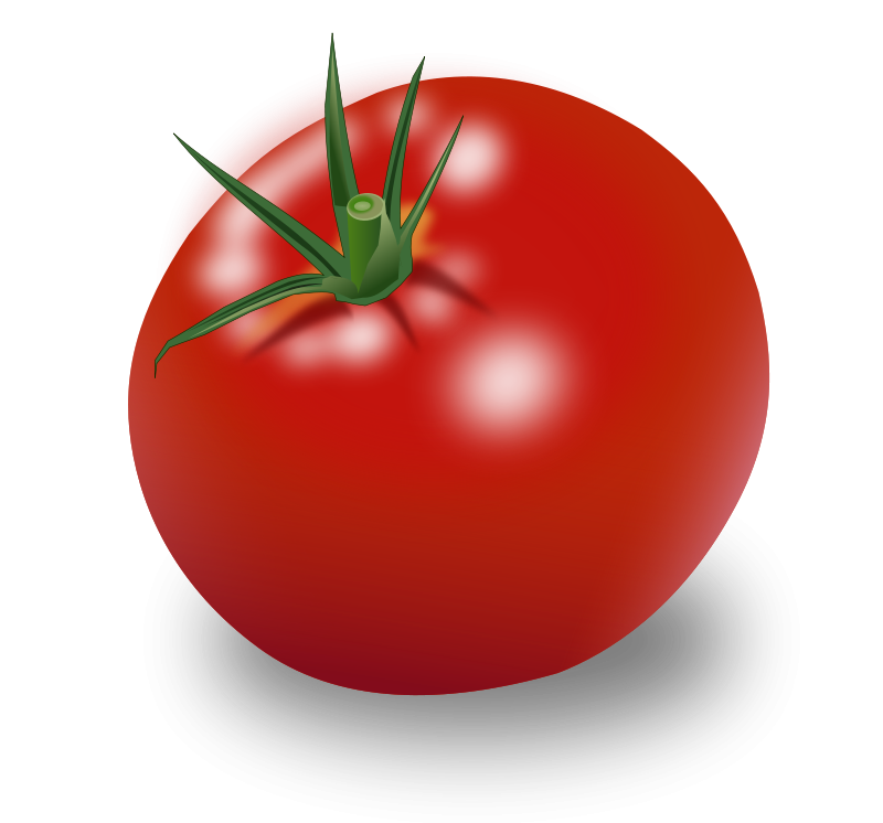 TomatoOfDestiny