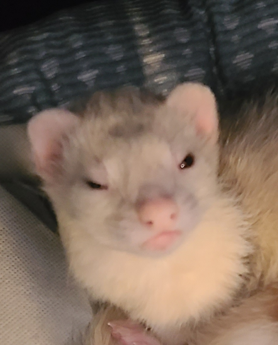 KroE