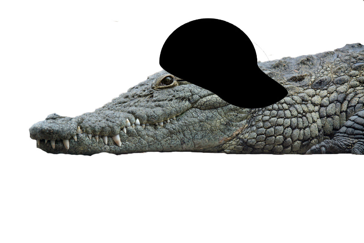 CrockRock