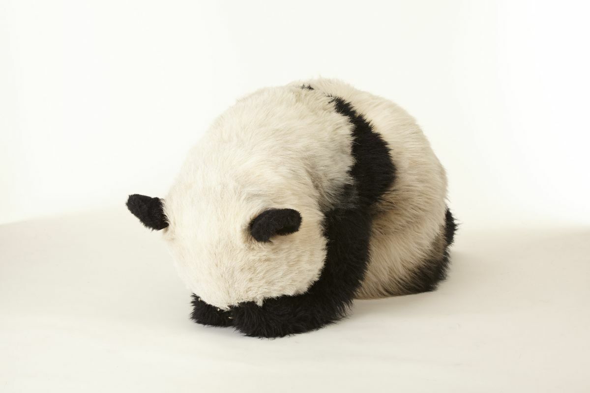 ShangFuu