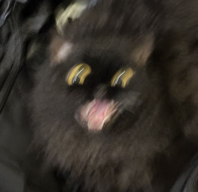 Sutcac