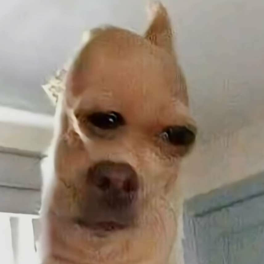 Daxter