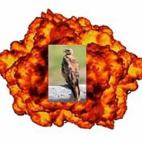 ExplodingH4WK