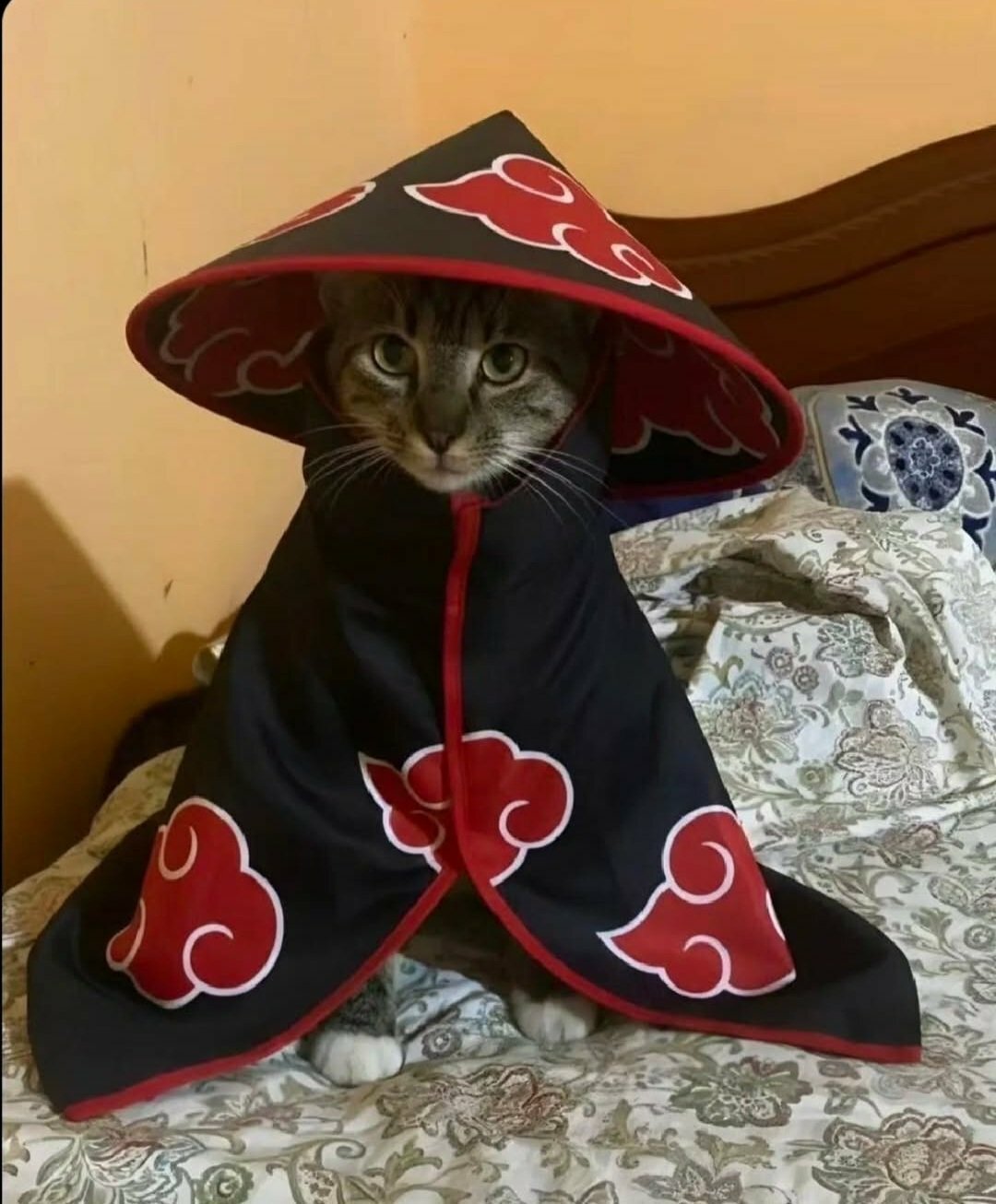 Shagohod