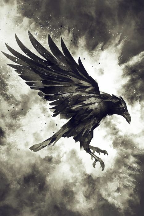 Raven